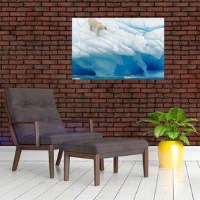 Obraz - Polárny medveď (90x60 cm)