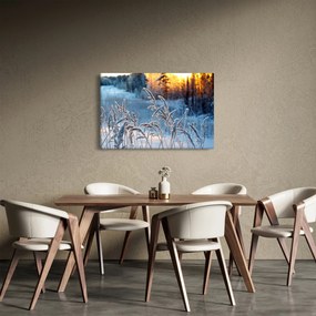 Obraz - Zimná lúka (90x60 cm)