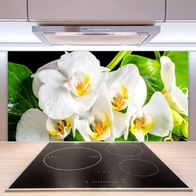 Sklenený obklad Do kuchyne Orchidea kvety príroda 100x50 cm
