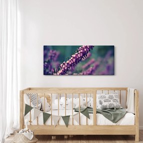 Obraz levandule (120x50 cm)