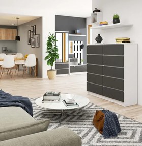 Komoda K120 10SZ CLP biela / sivá