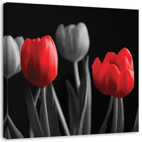 Gario Obraz na plátne Červené tulipány Rozmery: 30 x 30 cm