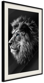 Artgeist Plagát - Blue-eyed Lion [Poster] Veľkosť: 40x60, Verzia: Čierny rám s passe-partout