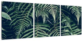 Obraz listov papradí (s hodinami) (90x30 cm)
