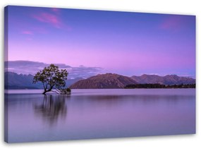 Obraz na plátně Fialový strom na jezeře - 100x70 cm