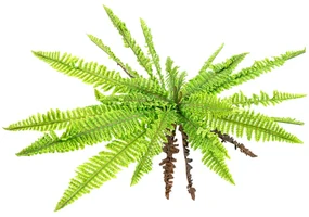 Umelé Papradie, pr. 85 cm