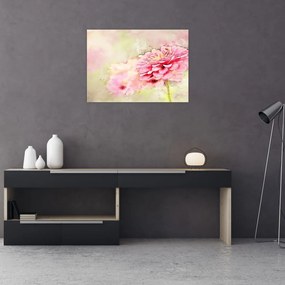Obraz - Ružový kvet, aquarel (70x50 cm)