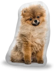 Sablio 3D vankúš Pomeranian