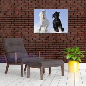 Obraz - Kone v zime (70x50 cm)