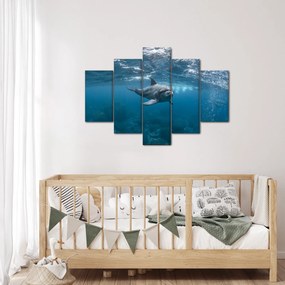 Obraz - Delfín pod hladinou (150x105 cm)