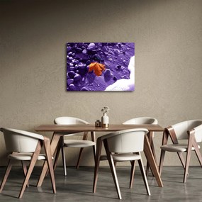 Obraz - Morská pláž (70x50 cm)