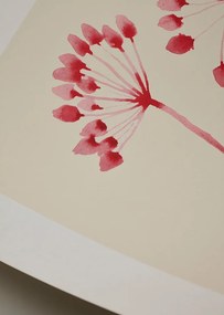 Moikka Plagát Flowers 02 by Ana Frois 50x70