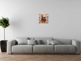 Gario Obraz s hodinami Cválajúce kone Rozmery: 60 x 40 cm