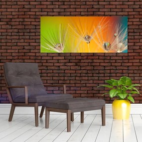 Obraz kvapiek na rastline (120x50 cm)