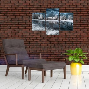 Obraz - Zamrznutá krajina (90x60 cm)