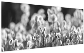 Obraz - Letná lúka (120x50 cm)