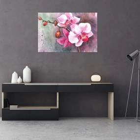 Obraz - Orchidey, aquarel (90x60 cm)