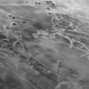 Obraz - Divoká lúka (120x50 cm)