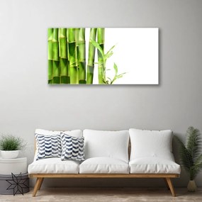 Obraz na akrylátovom skle Bambus rastlina 100x50 cm
