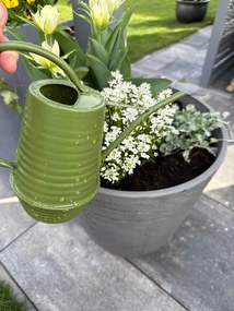Kanva na polievanie Eli, 1 l, zelená
