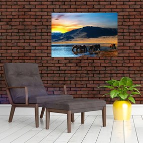 Obraz - Napájadlo (90x60 cm)