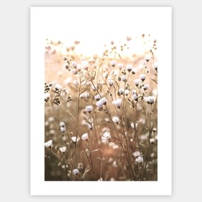 Boho plagát s fotografiou lúčnych kvetov