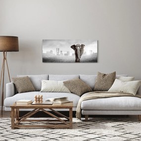 Obraz - Sloník vo veľkomeste, čiernobiely variant (120x50 cm)