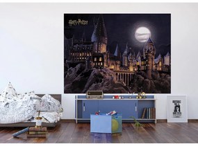 Detská fototapeta Harry Potter Hogwarts Moon 252 x 182 cm, 4 diely