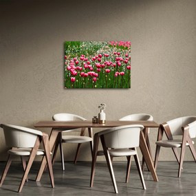 Obraz tulipánov (70x50 cm)