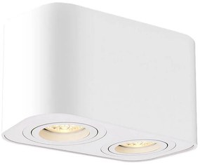 Rabalux 2054 - Bodové svietidlo KOBALD 2xGU10/42W/230V biela