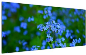 Obraz modrých kvetín (120x50 cm)