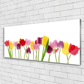 Obraz na akrylátovom skle Tulipány kvety rastlina 125x50 cm