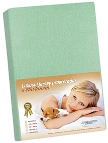 Bellatex Jersey prestieradlo s elastanom zelená, 200 x 220 cm
