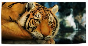 Sablio Uterák tiger - 70x140 cm