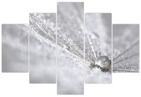 Obraz - Kvapka vody (150x105 cm)