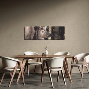 Obraz - Jeleň v lese (s hodinami) (90x30 cm)