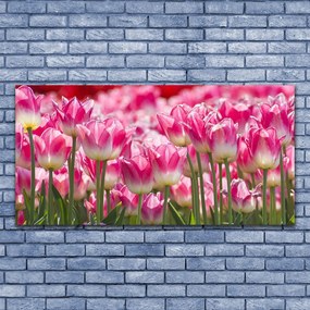 Obraz plexi Tulipány kvety príroda 120x60 cm