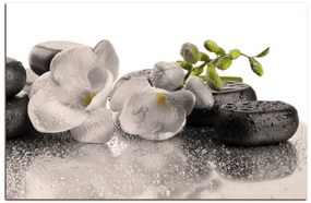 Obraz na plátne - Lávové kamene a  kvety 163FA (60x40 cm)