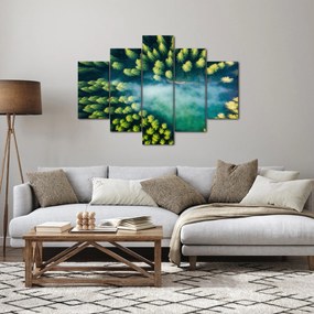 Obraz - Hmlou zahalený les (150x105 cm)