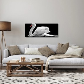 Obraz čiernobielej labute (120x50 cm)