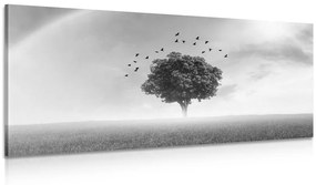 Obraz osamelý strom na lúke v čiernobielom prevedení
