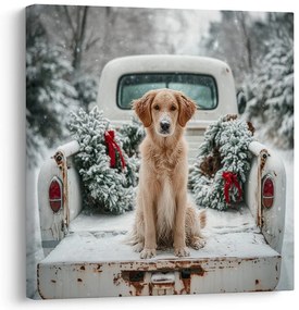 Vianočný obraz roztomilý pózujúci pes