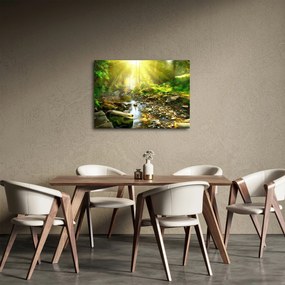 Obraz rieky v zelenom lese (70x50 cm)
