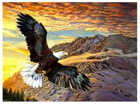 783752 NORIMPEX 5D Diamantová mozaika - Eagle