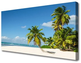 Obraz Canvas Pláž palma more krajina 120x60 cm