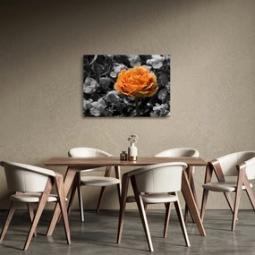 Sklenený obraz kvetu (70x50 cm)