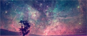 Obraz - Nadpozemská nočná obloha (120x50 cm)