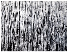 Tutumi, plyšový koberec Nature 4D vzor: šedá skala 200x300 cm, SHG-09012