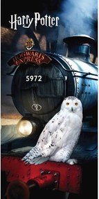 Bavlnená detská osuška 70x140 cm Harry Potter "Hedwig" – Jerry Fabrics