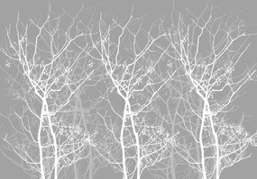 Fototapeta - Obrys stromu (152,5x104 cm)